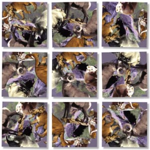 Rocky Mountain Wildlife Forest Animal By Scramble Squares