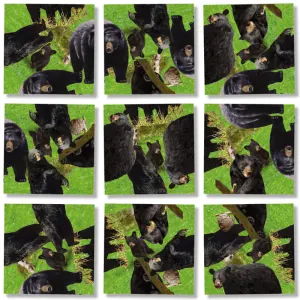 Black Bears Bear By Scramble Squares