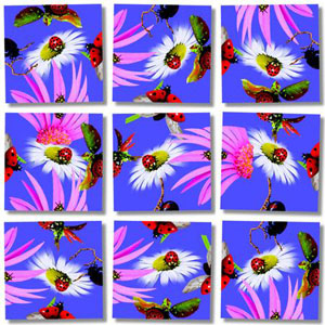 Ladybugs Butterflies and Insects By Scramble Squares