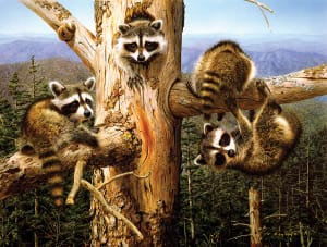 Balancing Act Forest By SunsOut