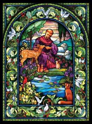 St. Francis Religious By SunsOut