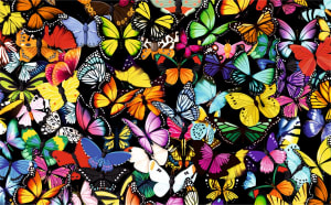 Unique Butterflies -50 Piece Mini Puzzle Collage By Brain Tree