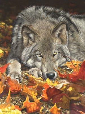 Wolfs Contemplation Fall By Ceaco