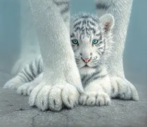 Sheltered Big Cats By SunsOut