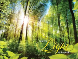 God's Light 2 Religious By Fairhope Direct