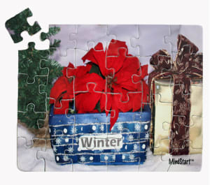 Winter (30pc) Christmas By Mind Start