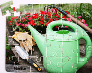 Garden  (30pc) Flower & Garden By Mind Start