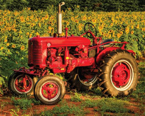 American Made Vehicles By Springbok