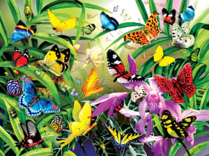 Tropical Butterflies Butterflies and Insects By SunsOut