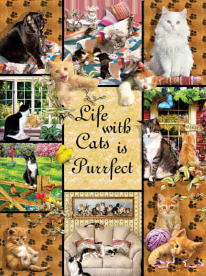 Cats Make Life Purr-fect Collage By SunsOut