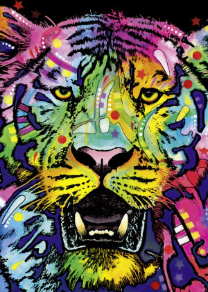 Wild Tiger Big Cats By Heye