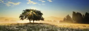Play of Light Sunrise & Sunset By Heye