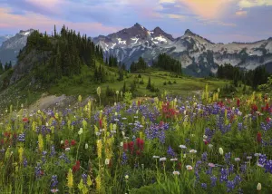 Tatoosh Mountains Landscape By Heye