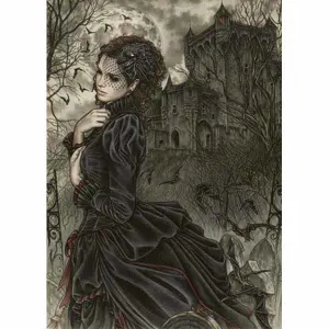 Silent Moment Gothic Art By Heye