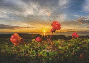 Cloudberries Sunrise & Sunset By Heye