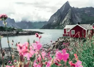 Scandinavian Places - Reine Lofoten Norway Europe By Ravensburger