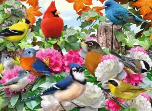 Garden Birds Flower & Garden By Ravensburger