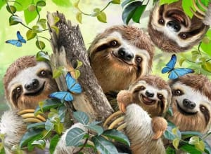 Sloth Selfie  Animals By Ravensburger