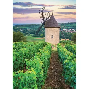 Moulin Sorine,vignoble Santenay Photography By Nathan