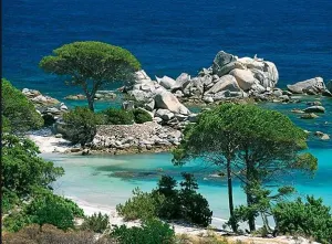 Plage de Palombaggia, Corse Sud Beach & Ocean By Nathan