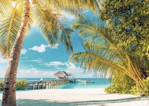 Plage paradisiaque Beach & Ocean By Nathan