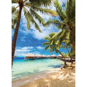 Plage de Bora-Bora, Polynesie Fr Beach & Ocean By Nathan