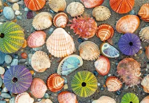 Puzzle Moments: By the Seashore Beach & Ocean By Ravensburger