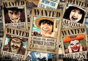 One Piece  Books & Reading By Ravensburger