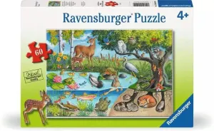 Animals Above and Below Animals By Ravensburger