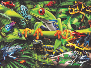 Amazing Amphibians Reptile & Amphibian By Ravensburger