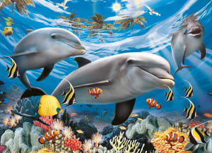 Caribbean Smile Fish By Ravensburger