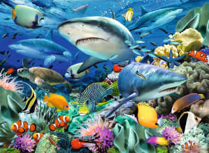 Shark Reef Beach & Ocean By Ravensburger