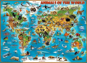 Animals of the World Maps & Geography By Ravensburger