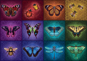 Winged Things Rainbow & Gradient By Ravensburger