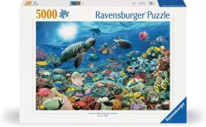 Beneath The Sea Dolphin By Ravensburger
