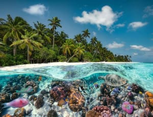 A Dive in the Maldives Beach & Ocean By Ravensburger