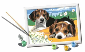 Jack Russel Puppies By Ravensburger