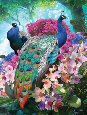 Pretty Peacock Birds By SunsOut