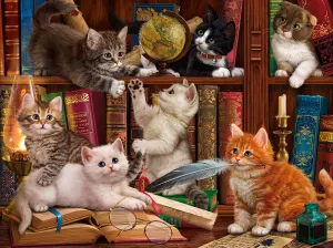 Library Kittens Books & Reading By SunsOut