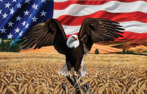 Amber Waves of Grain - Scratch and Dent Fourth of July By SunsOut