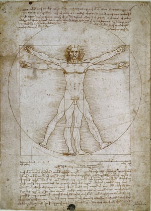 Vitruvian Man Mini Puzzle Renaissance By Tomax Puzzles
