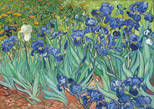 Irises Mini Puzzle Flower & Garden By Tomax Puzzles