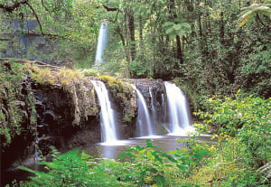 The Falls Lakes & Rivers By Tomax Puzzles