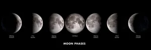 Moon Phases Panorama Educational By Tomax Puzzles