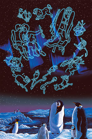 Starry Night Birds By Tomax Puzzles