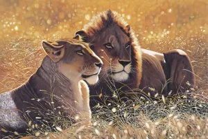 Lions in The Sun Big Cats By Tomax Puzzles