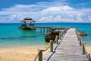 Beautiful Tropical Beach Beach & Ocean By Tomax Puzzles