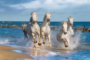 White Horses Horse By Tomax Puzzles