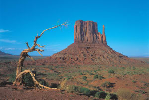 Monument Valley, Utah USA Western By Tomax Puzzles