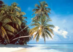 Maldive Island Beach & Ocean By Tomax Puzzles